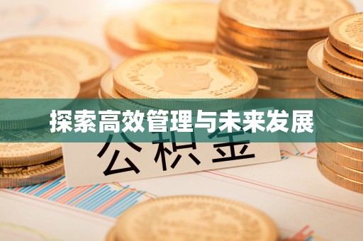 庆阳探索高效管理与未来发展