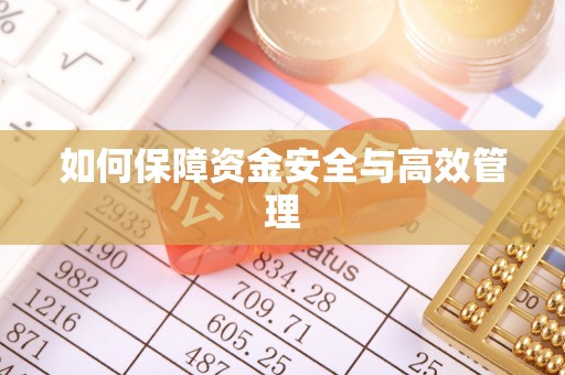 庆阳如何保障资金安全与高效管理