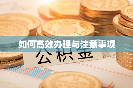 庆阳如何高效办理与注意事项