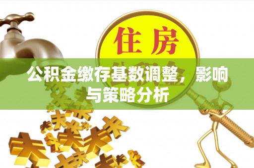 庆阳公积金缴存基数调整，影响与策略分析
