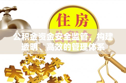 庆阳公积金资金安全监管，构建透明、高效的管理体系