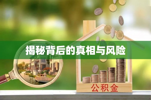 庆阳揭秘背后的真相与风险