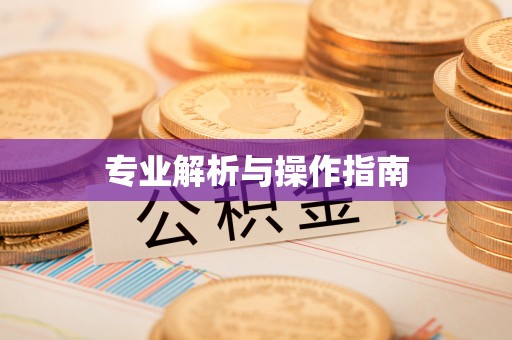 庆阳专业解析与操作指南