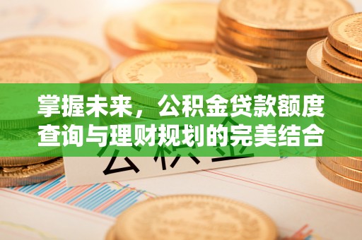 庆阳掌握未来，公积金贷款额度查询与理财规划的完美结合