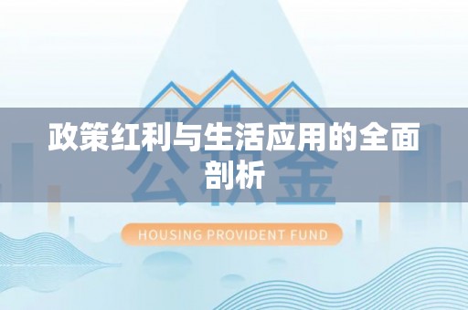 庆阳政策红利与生活应用的全面剖析