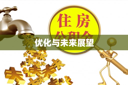 庆阳优化与未来展望