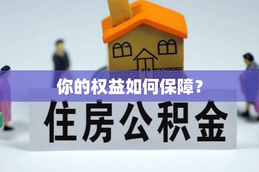 庆阳你的权益如何保障？