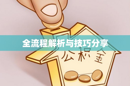 庆阳全流程解析与技巧分享