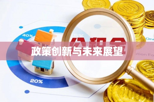 庆阳政策创新与未来展望