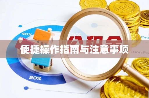 庆阳便捷操作指南与注意事项